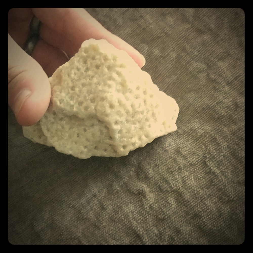 Focilized coral